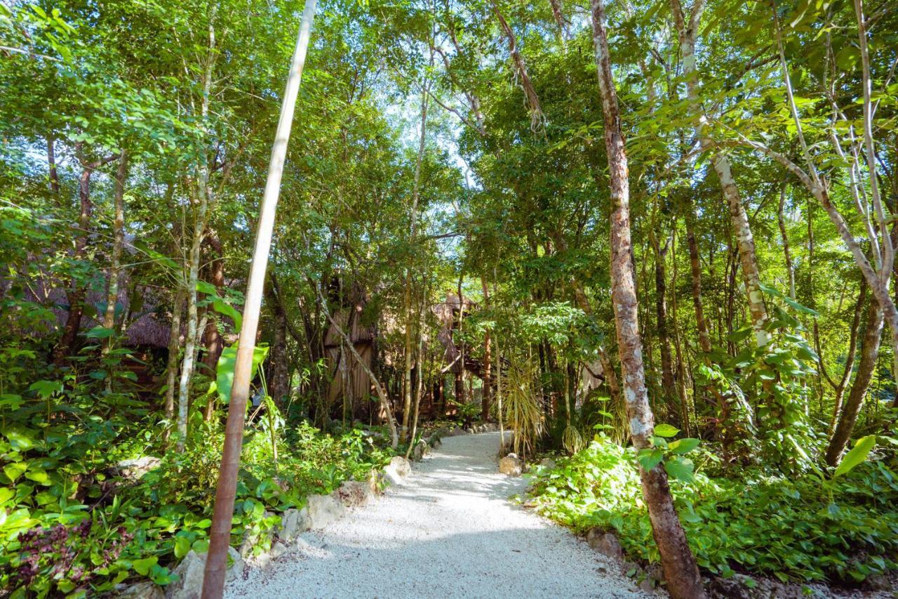 Madre Tierra Eco Habitat Konuk evi Puerto Morelos Dış mekan fotoğraf