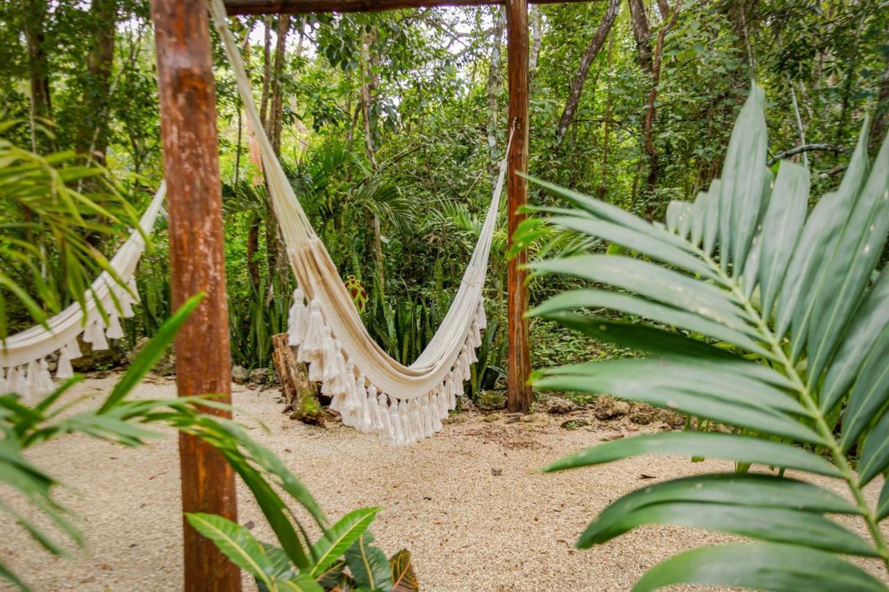 Madre Tierra Eco Habitat Konuk evi Puerto Morelos Dış mekan fotoğraf