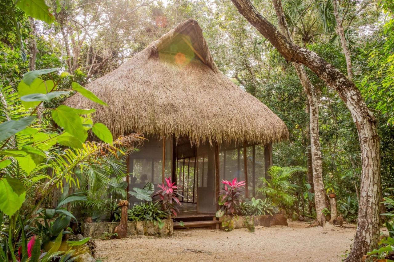 Madre Tierra Eco Habitat Konuk evi Puerto Morelos Dış mekan fotoğraf