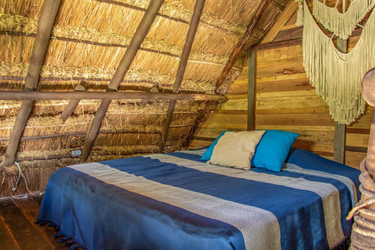 Madre Tierra Eco Habitat Konuk evi Puerto Morelos Dış mekan fotoğraf