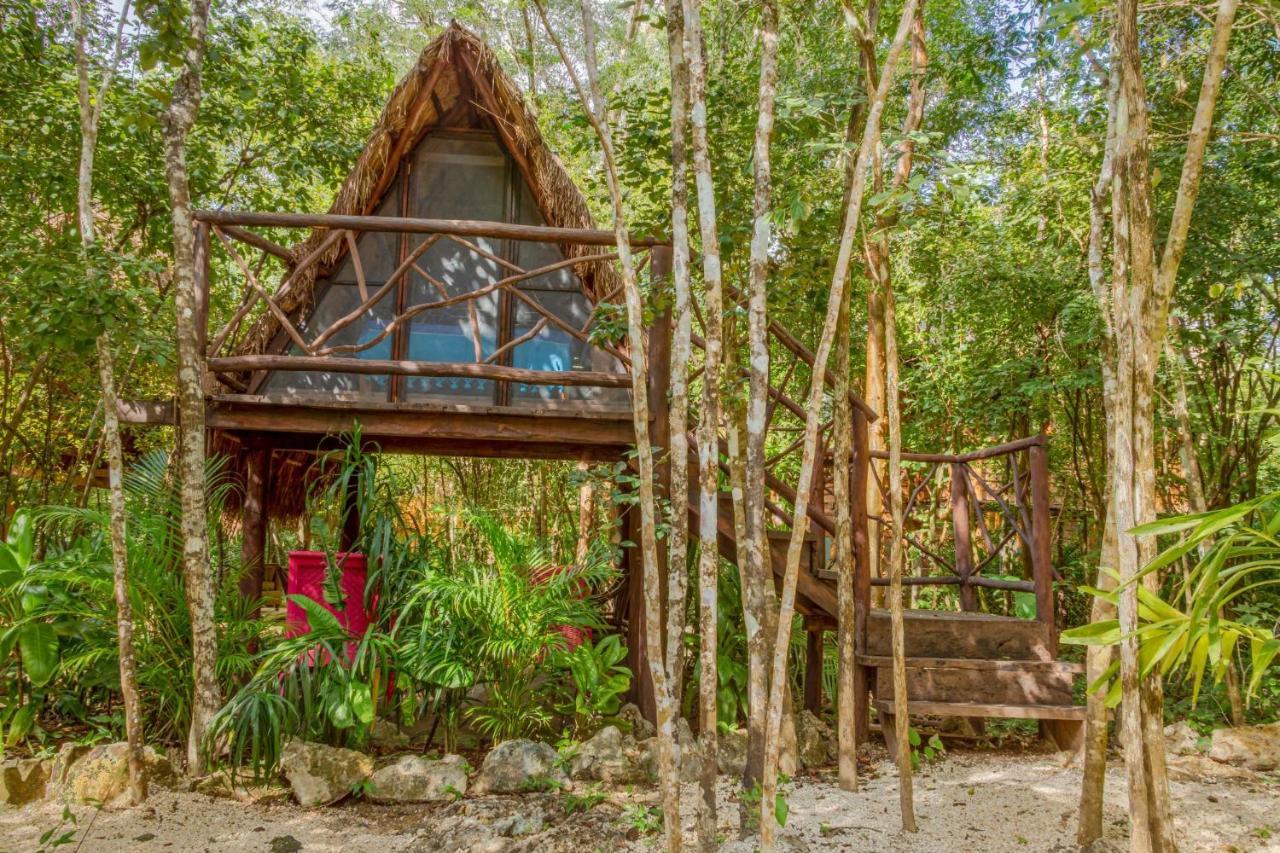 Madre Tierra Eco Habitat Konuk evi Puerto Morelos Dış mekan fotoğraf