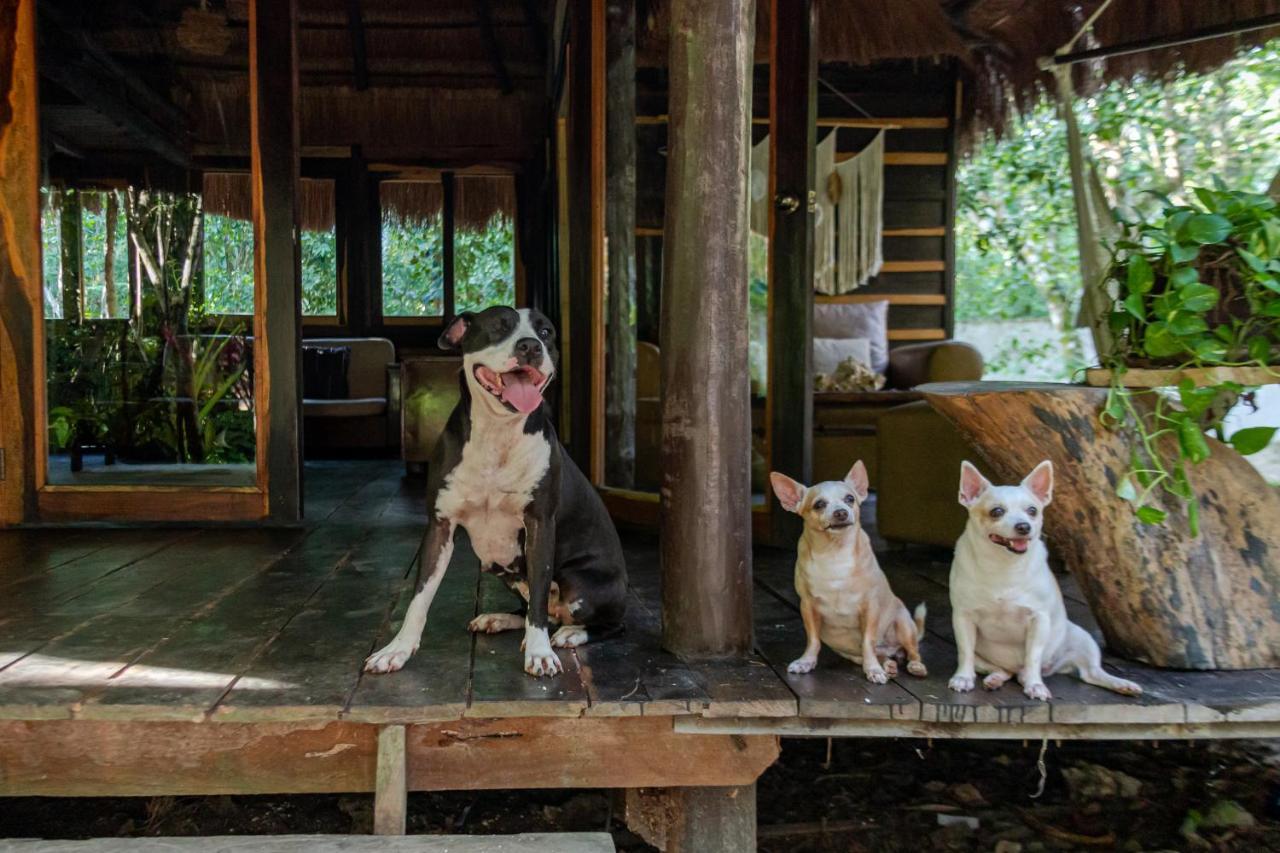 Madre Tierra Eco Habitat Konuk evi Puerto Morelos Dış mekan fotoğraf