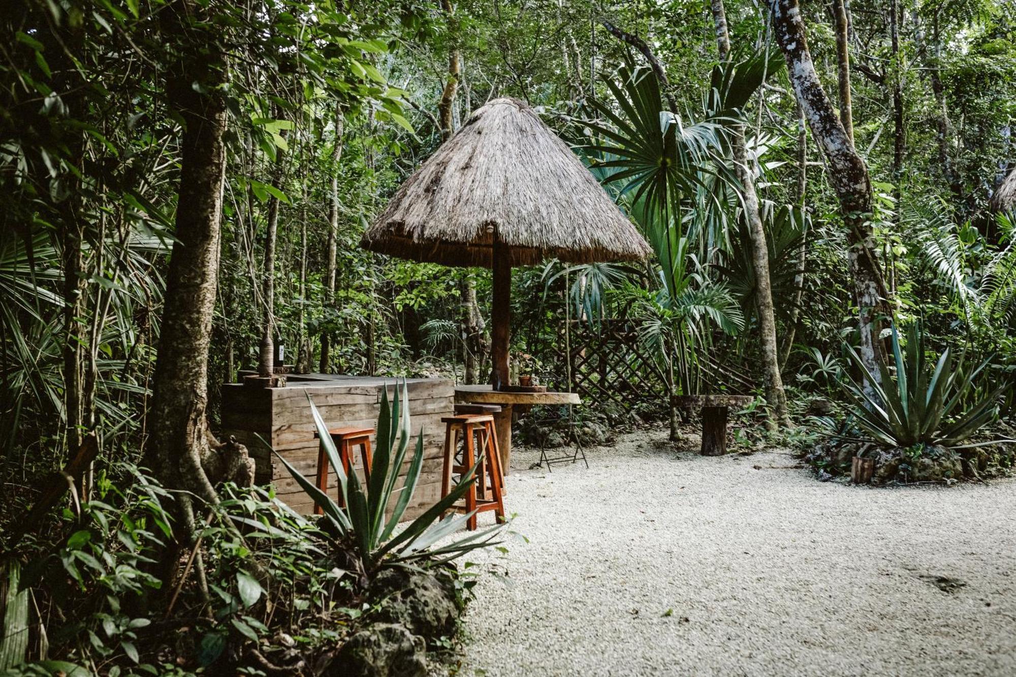 Madre Tierra Eco Habitat Konuk evi Puerto Morelos Dış mekan fotoğraf