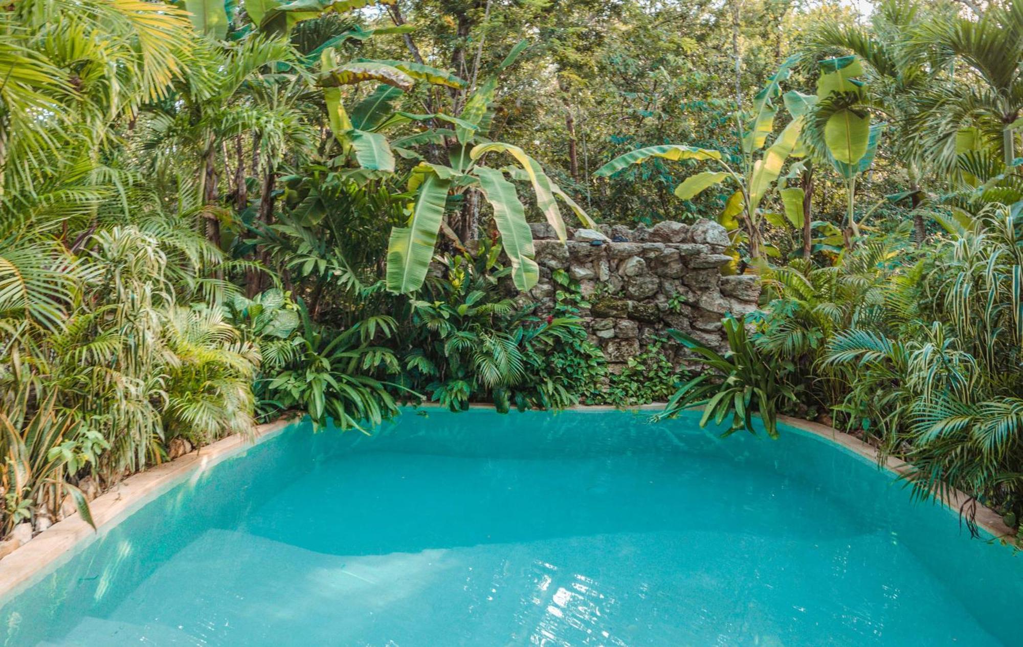 Madre Tierra Eco Habitat Konuk evi Puerto Morelos Dış mekan fotoğraf