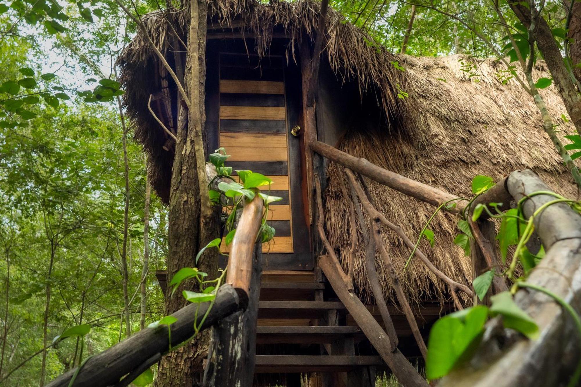 Madre Tierra Eco Habitat Konuk evi Puerto Morelos Dış mekan fotoğraf